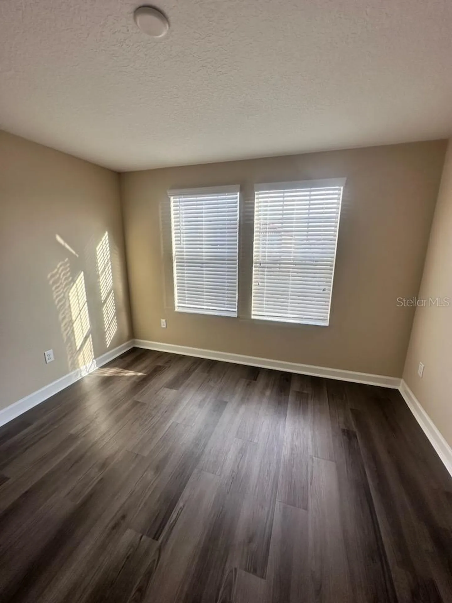 11928 Frost Aster Drive Riverview FL 33579