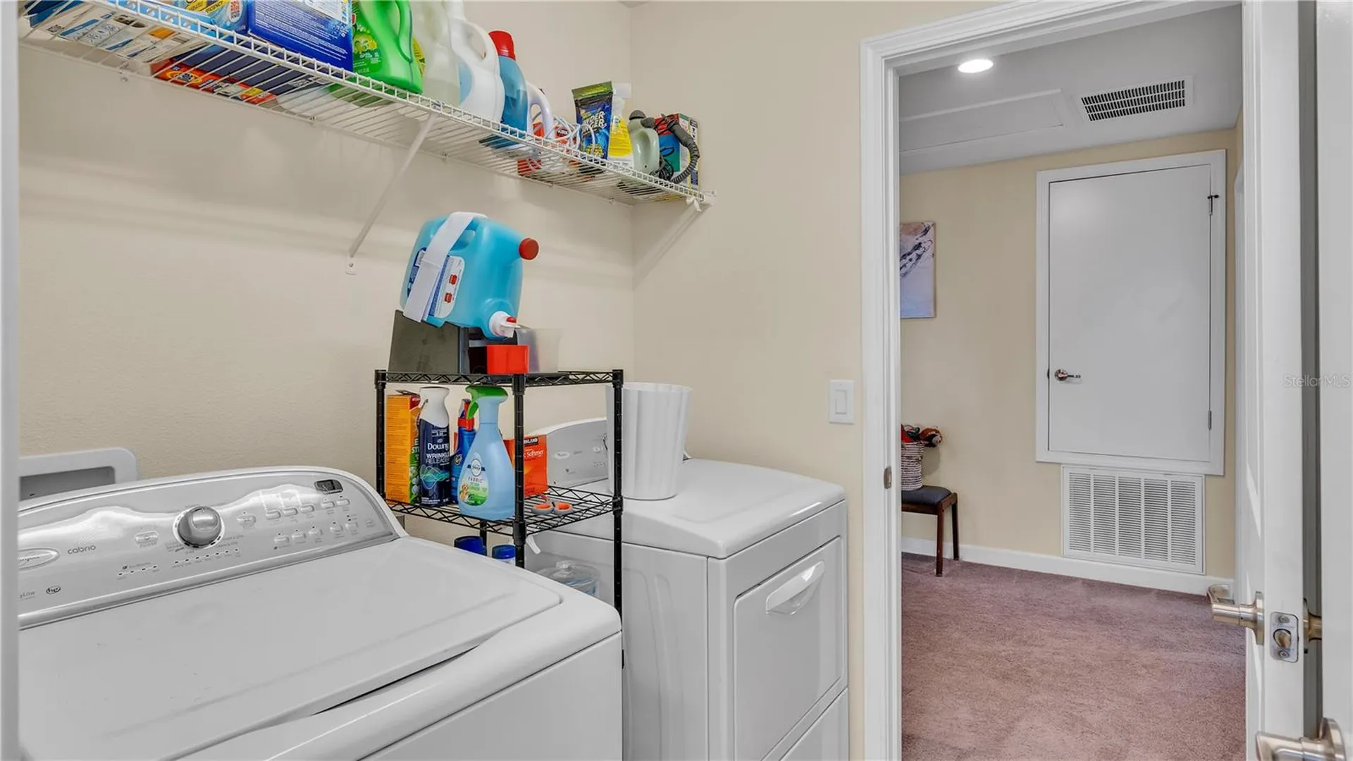 11928 Frost Aster Drive Riverview FL 33579
