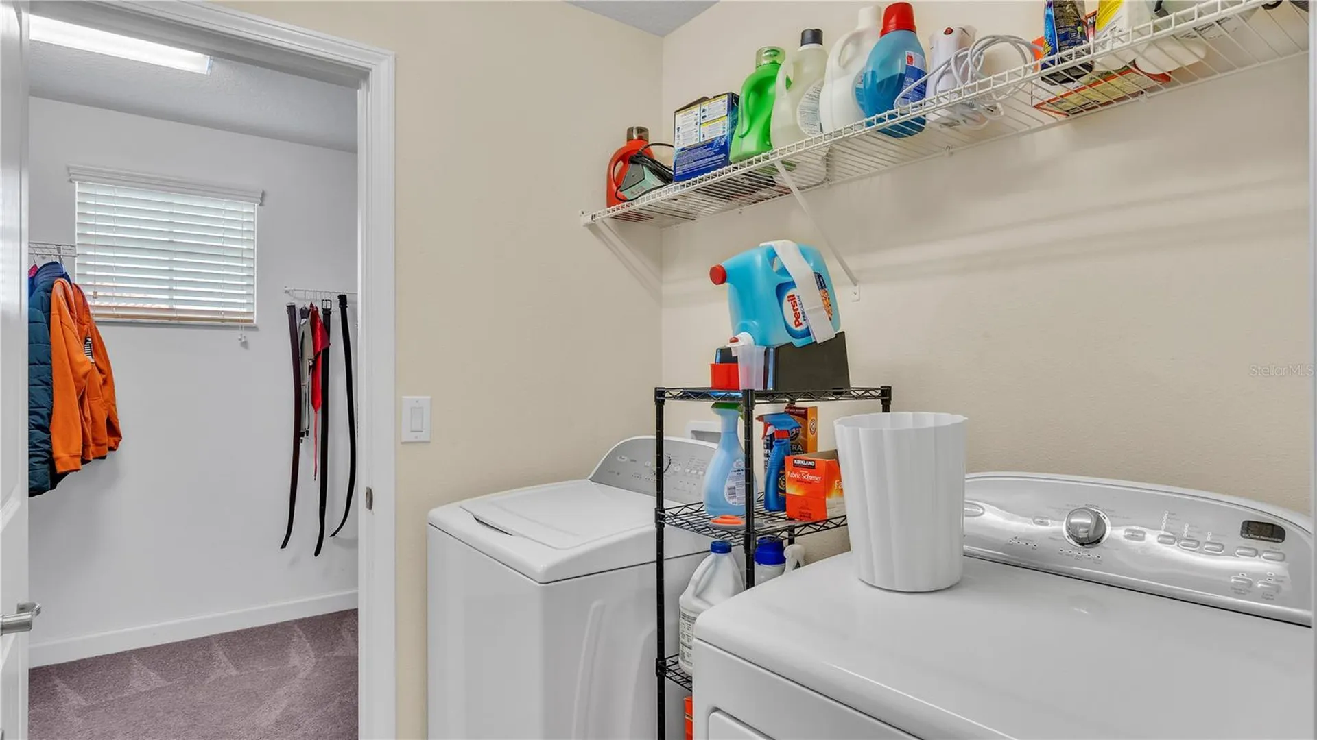 11928 Frost Aster Drive Riverview FL 33579