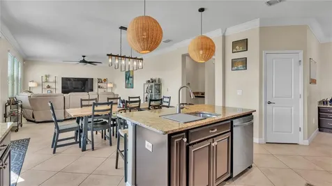 11928 Frost Aster Drive Riverview FL 33579