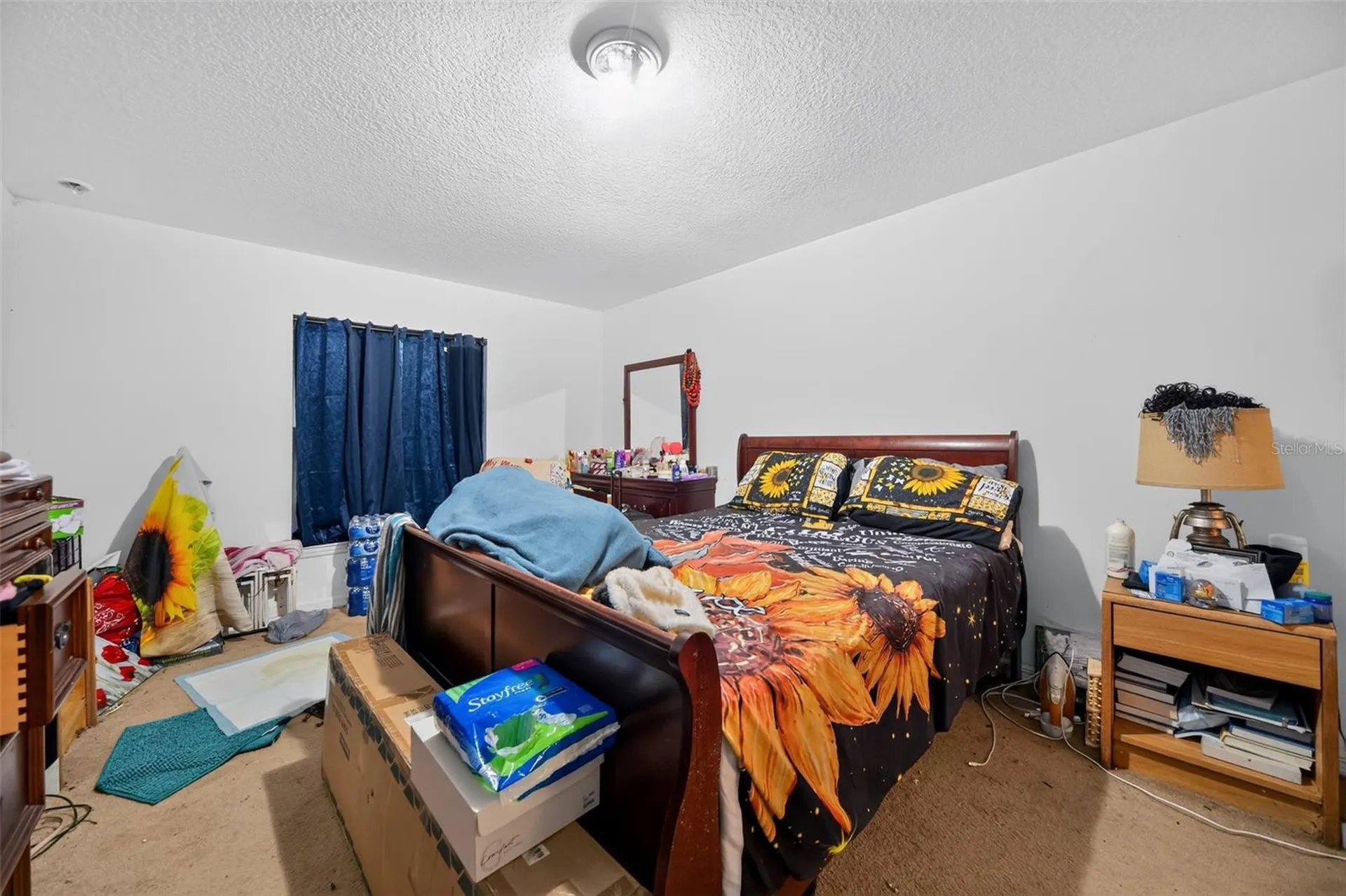 619 Pinkney Street Eustis FL 32726