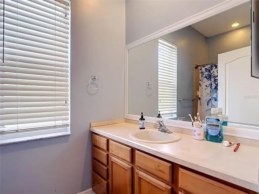10512 Gooseberry Court Trinity FL 34655