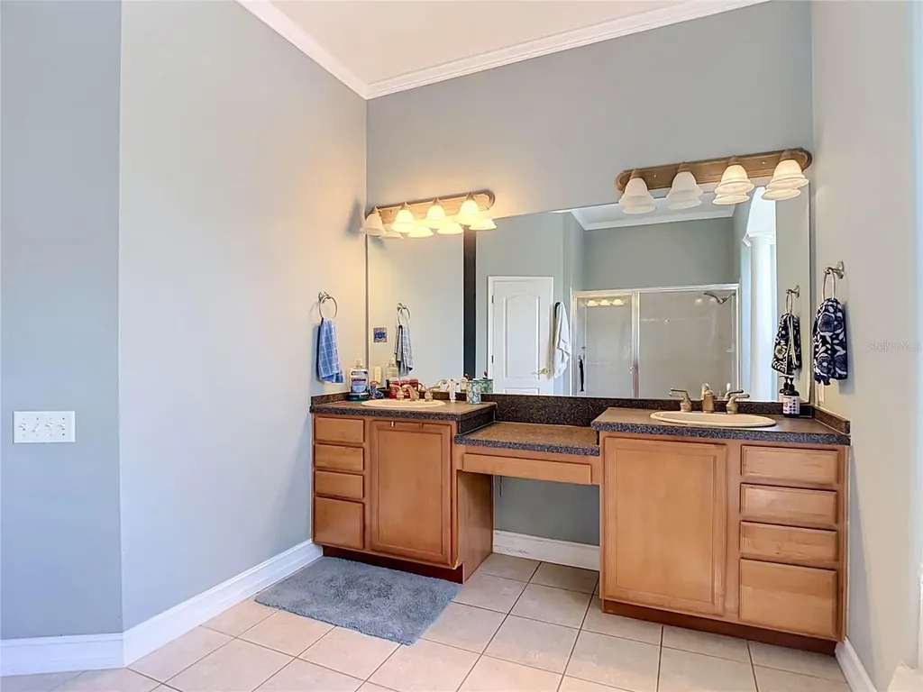 10512 Gooseberry Court Trinity FL 34655