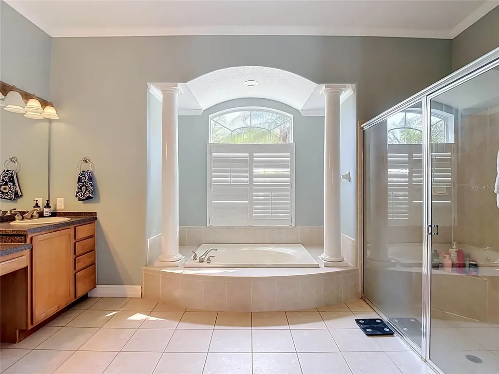10512 Gooseberry Court Trinity FL 34655