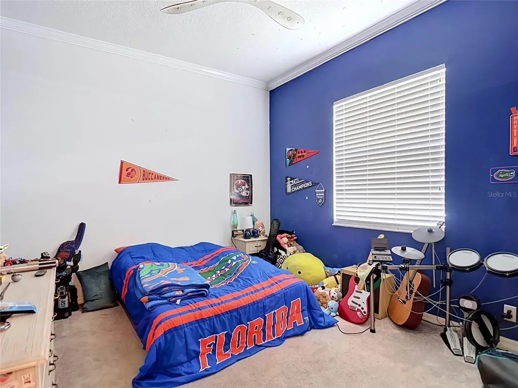 10512 Gooseberry Court Trinity FL 34655