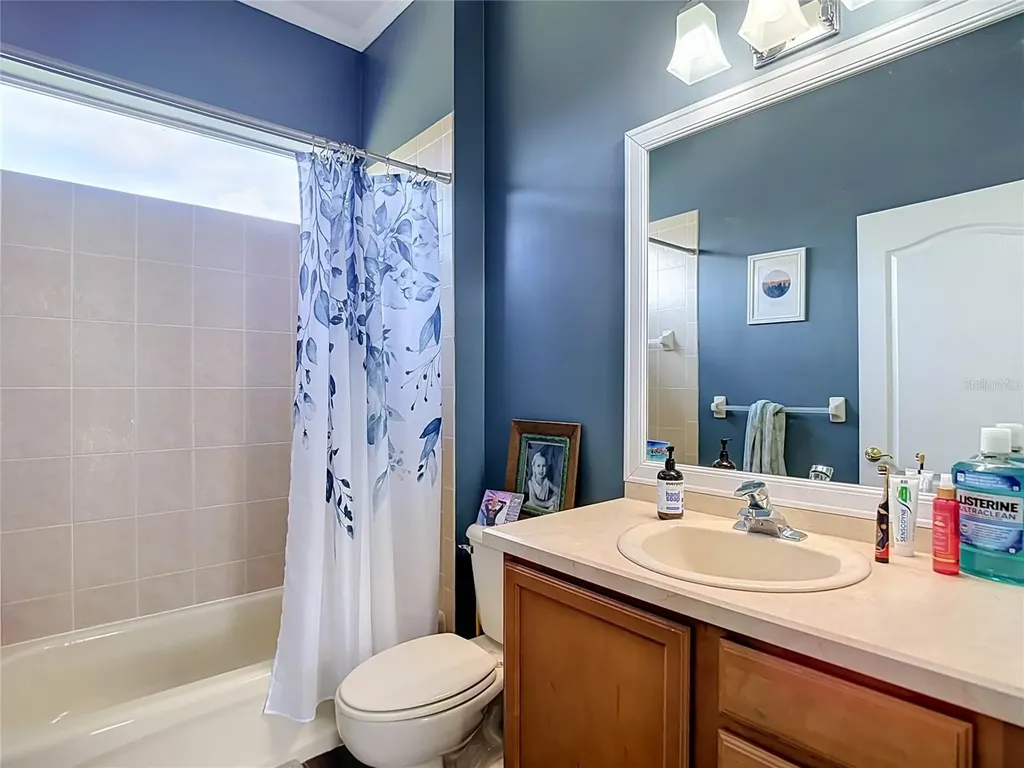 10512 Gooseberry Court Trinity FL 34655