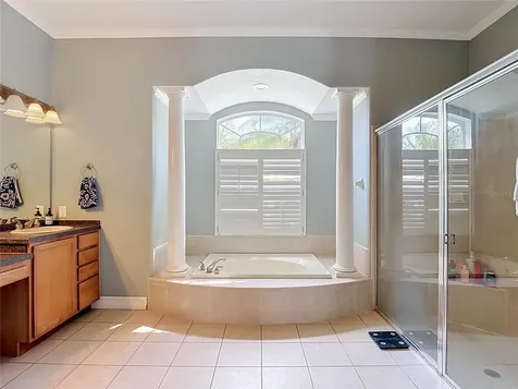 10512 Gooseberry Court Trinity FL 34655