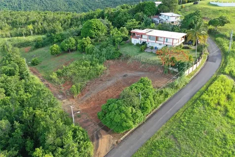 975 Int Ceiba PR 00735