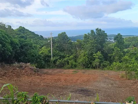 975 Int Ceiba PR 00735