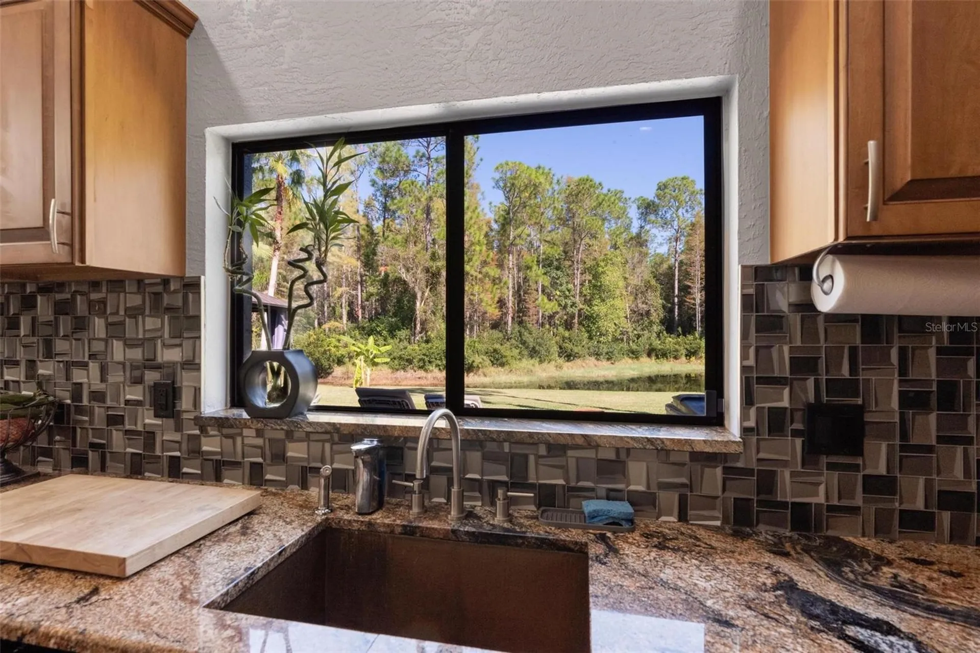 13228 Royal George Avenue Odessa FL 33556