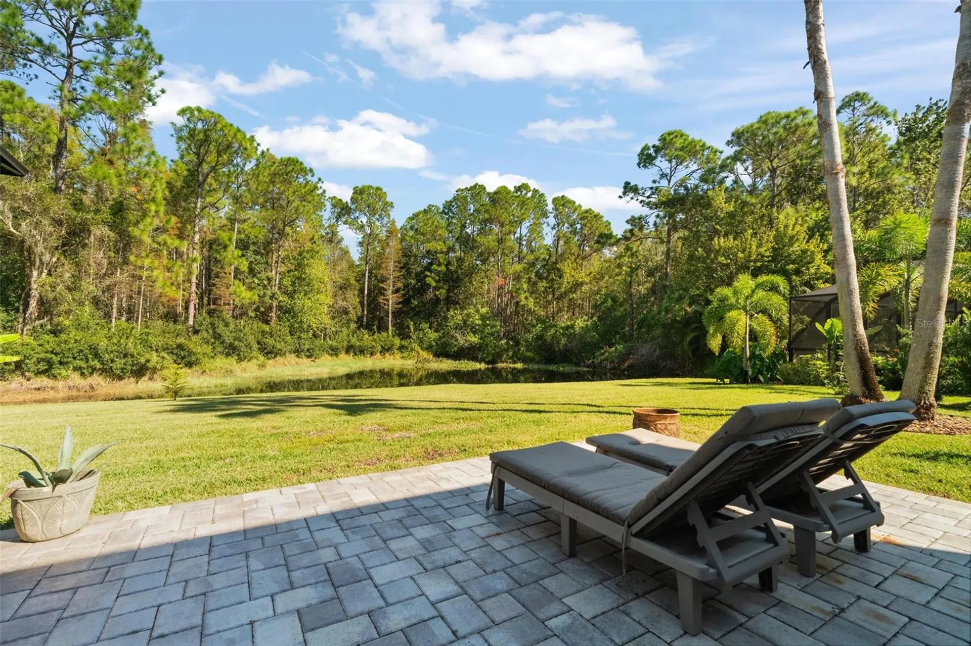 13228 Royal George Avenue Odessa FL 33556