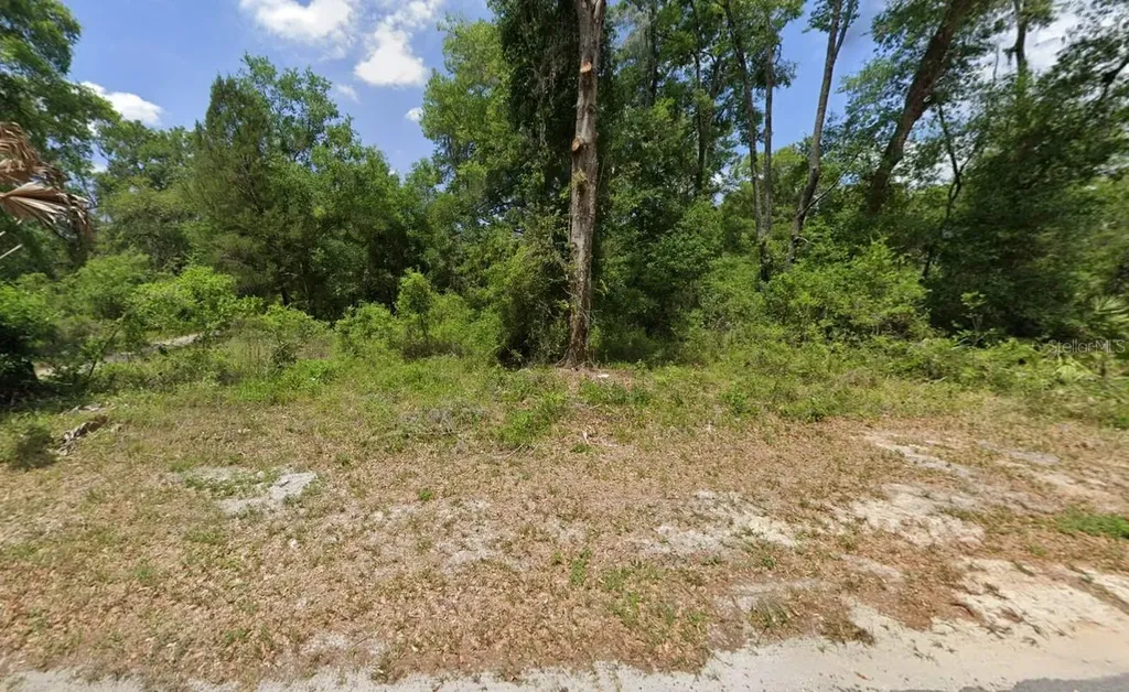 9111 Cr 622 Bushnell FL 33513