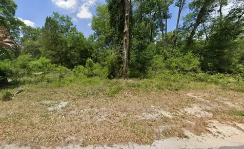 9111 Cr 622 Bushnell FL 33513