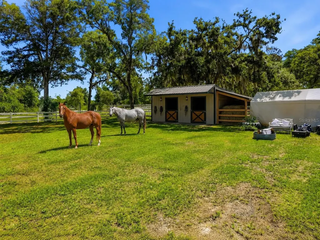 16700 Auburndale Lane Spring Hill FL 34610