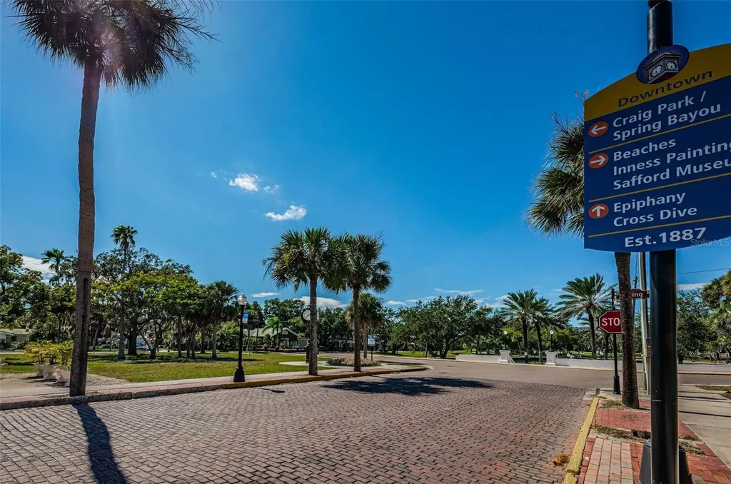 49 Drury Lane Tarpon Springs FL 34689