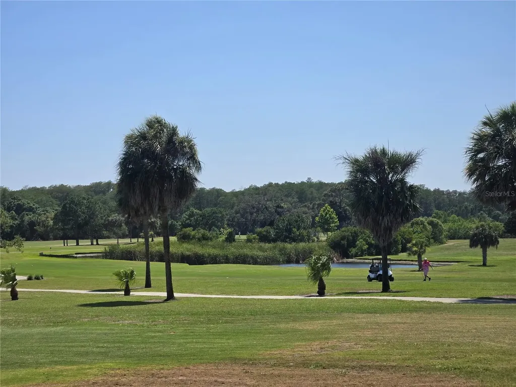 49 Drury Lane Tarpon Springs FL 34689
