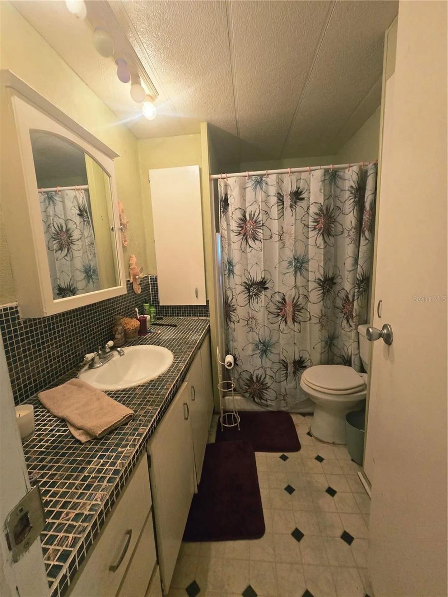 49 Drury Lane Tarpon Springs FL 34689