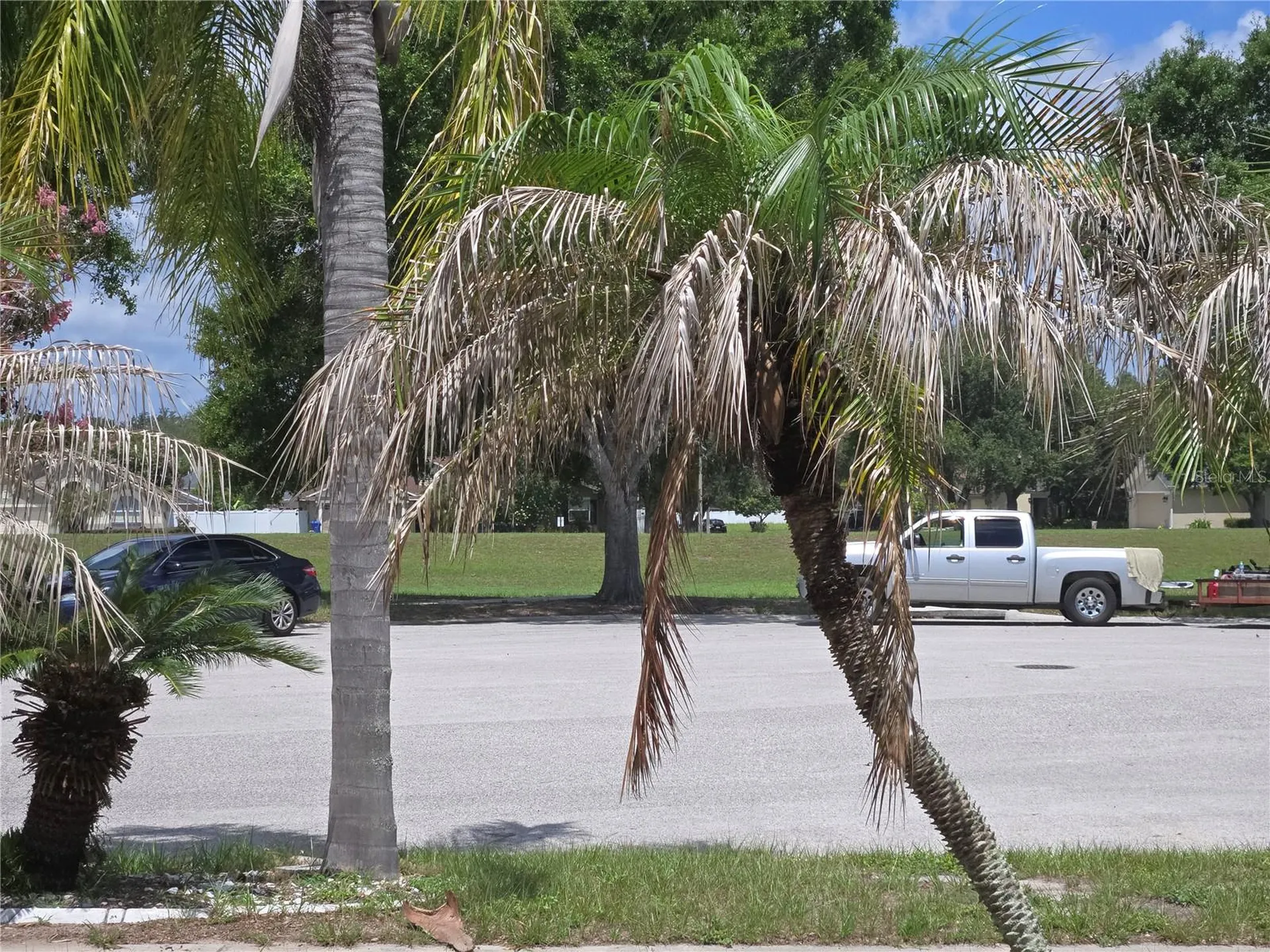 4106 Balington Drive Valrico FL 33596