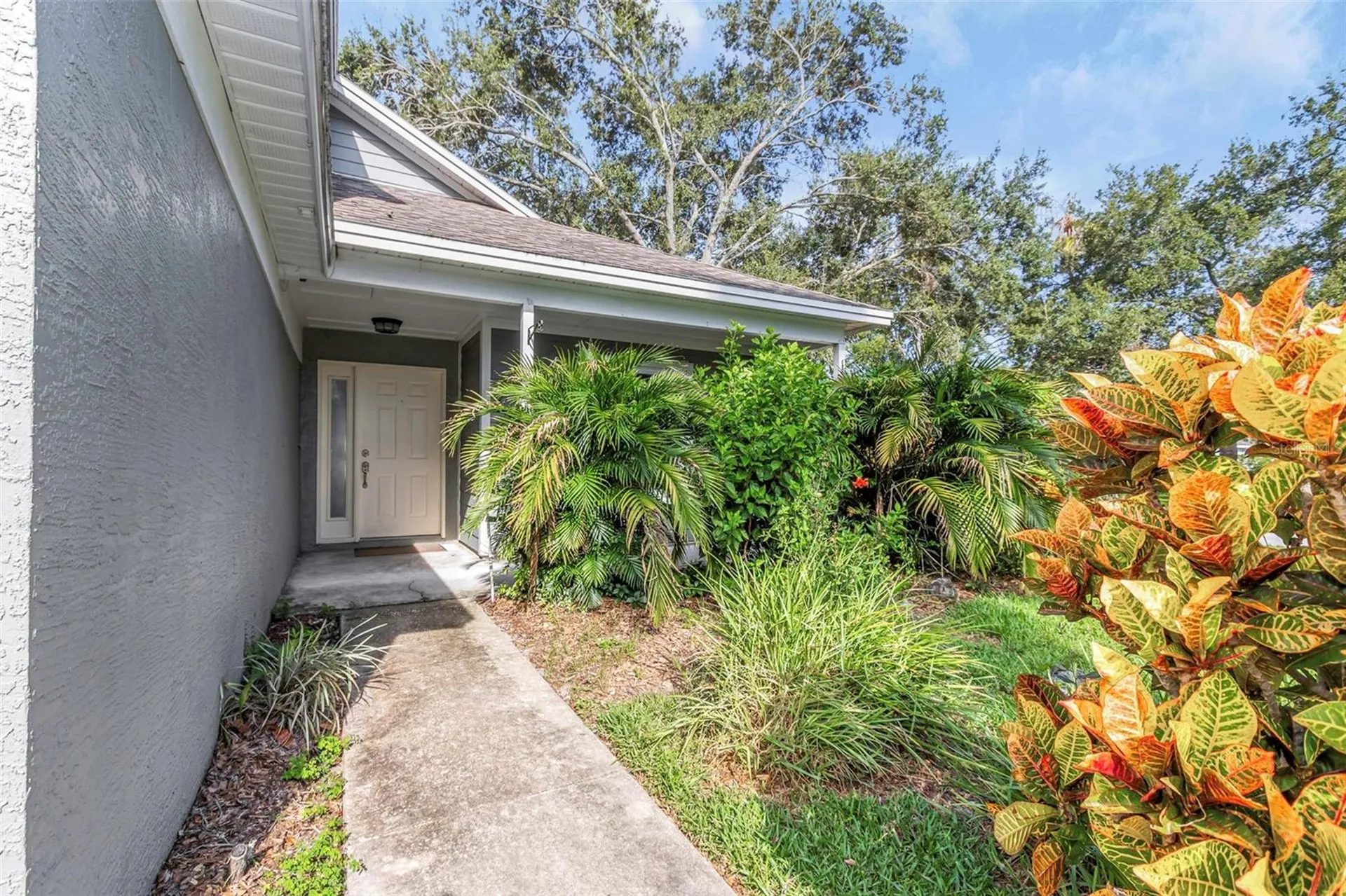 2931 Shannon Circle Palm Harbor FL 34684