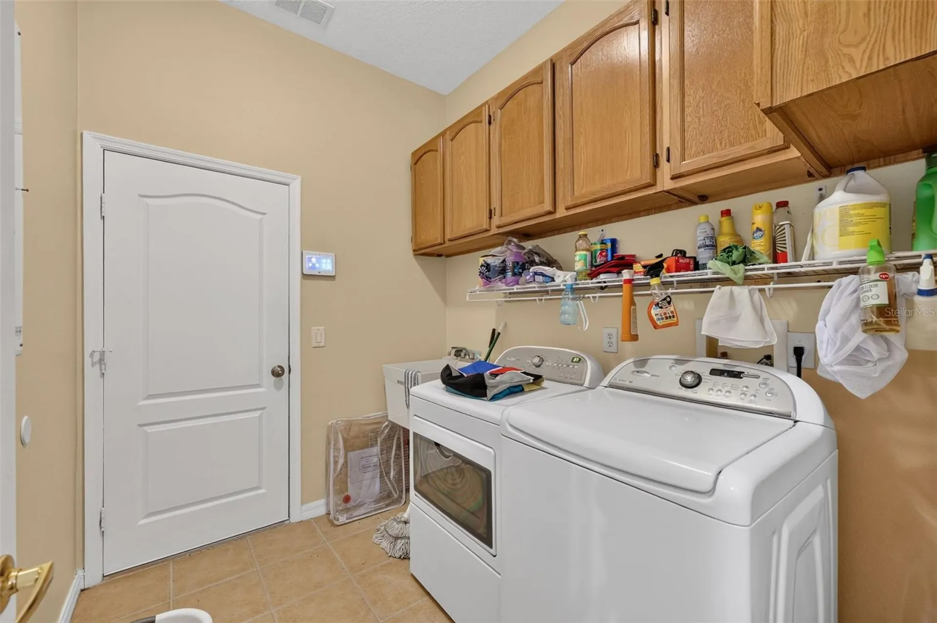 316 Harts Oak Place Seffner FL 33584