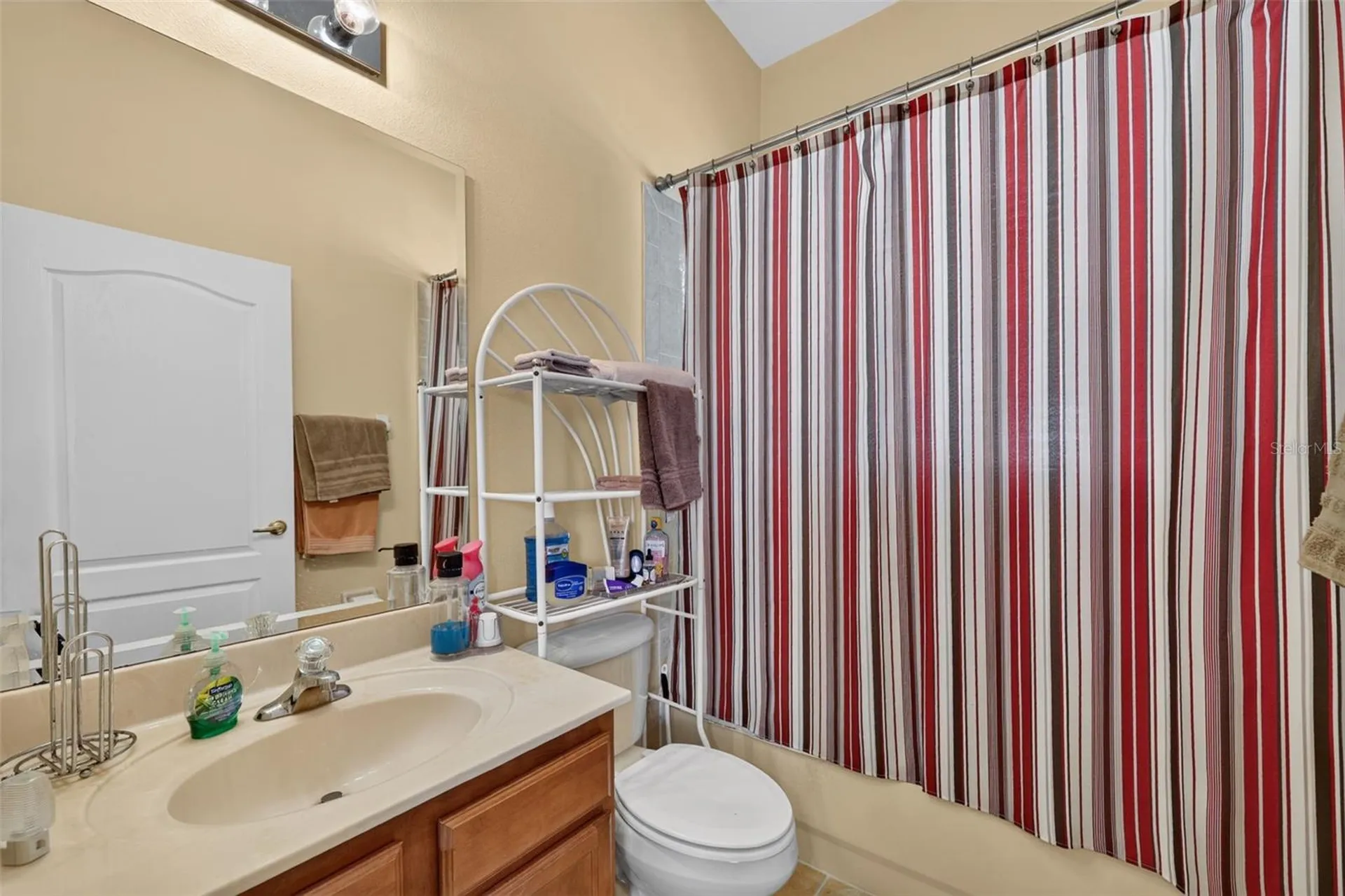 316 Harts Oak Place Seffner FL 33584