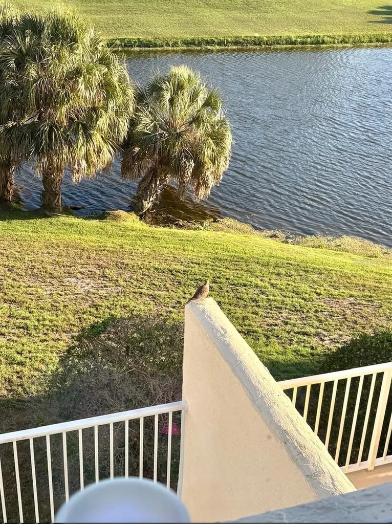 1200 Country Club Drive Largo FL 33771