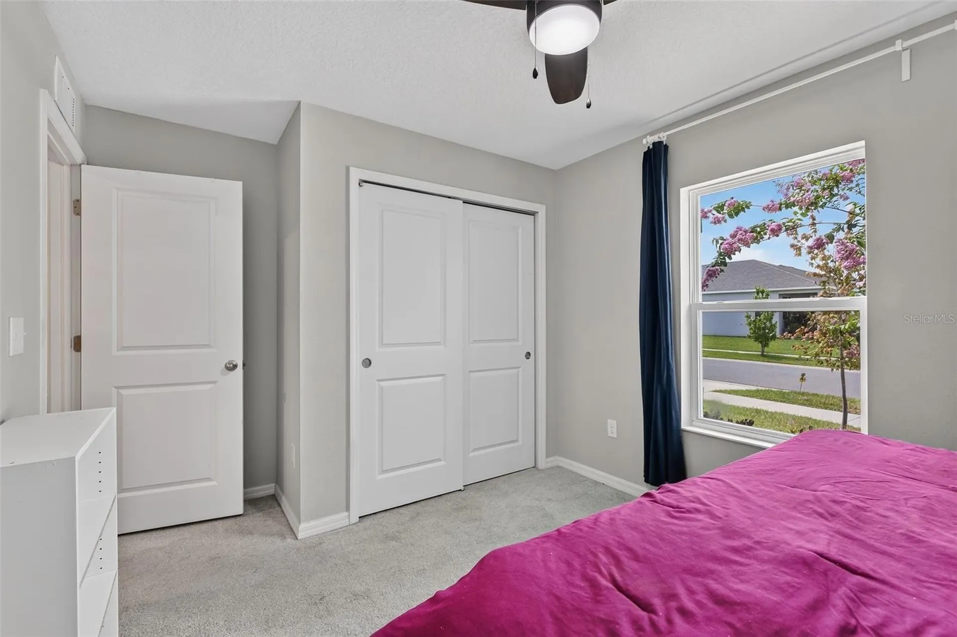 9972 Mesic Woods Avenue Seffner FL 33584