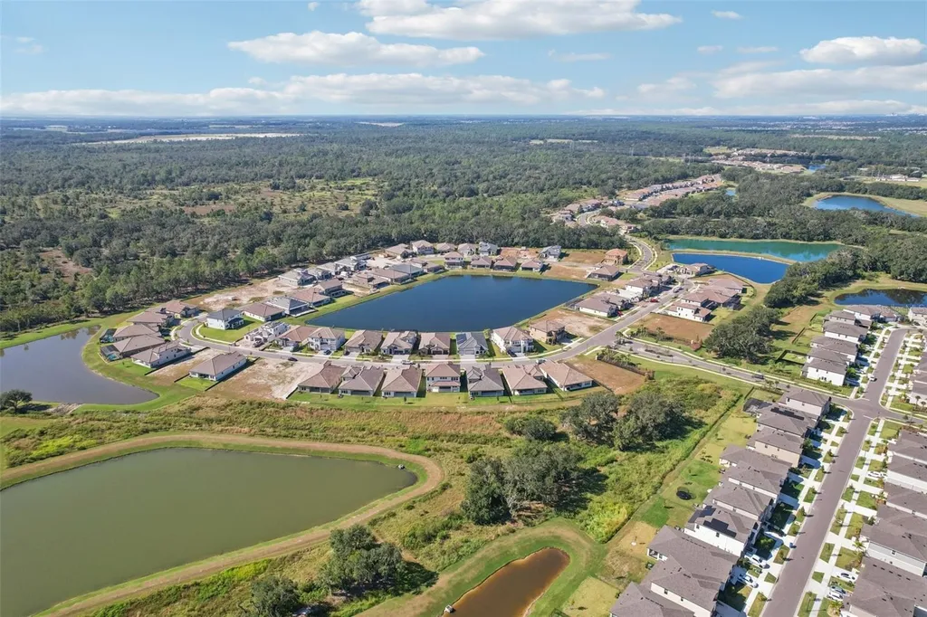 14930 Rider Pass Drive Lithia FL 33547