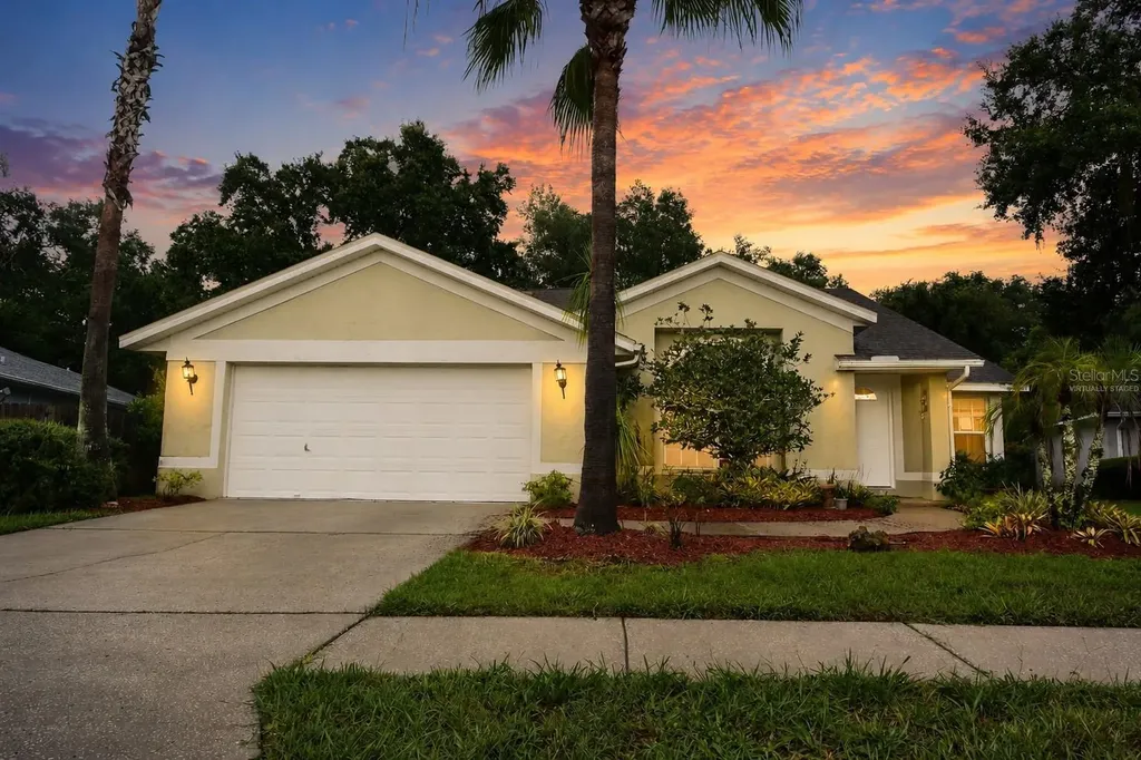 24449 Painter Drive Land O Lakes FL 34639