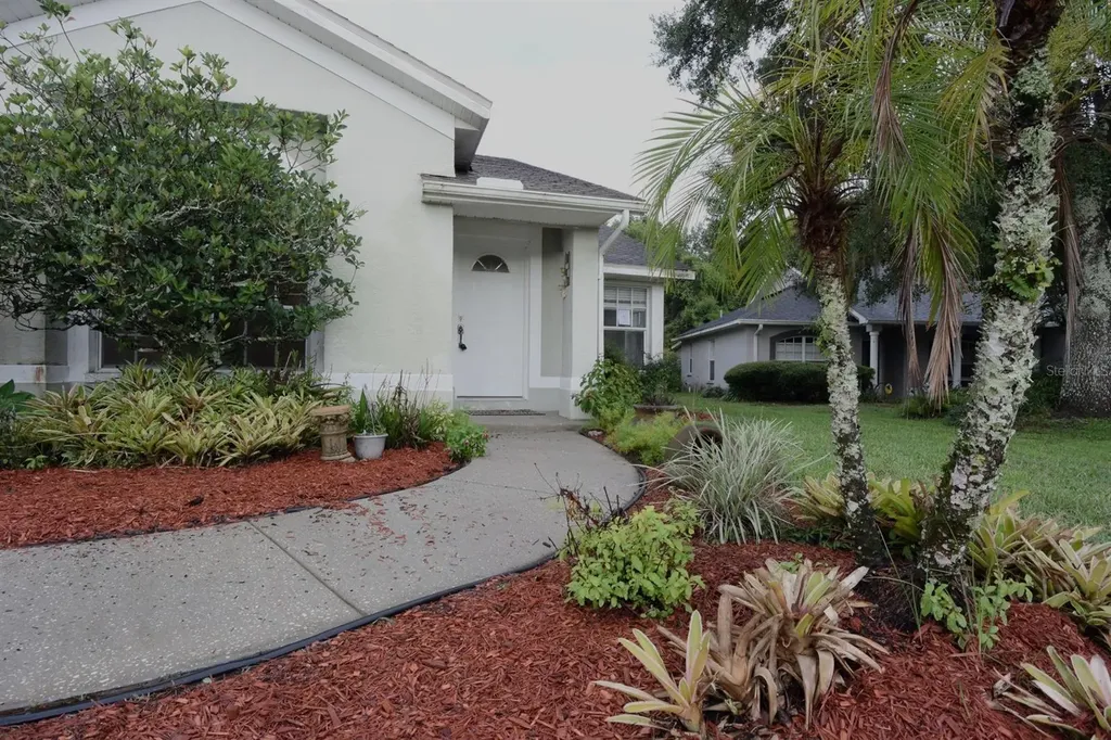24449 Painter Drive Land O Lakes FL 34639