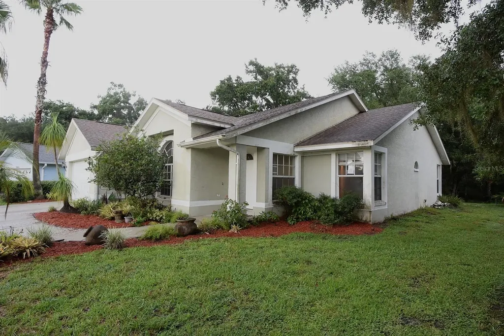 24449 Painter Drive Land O Lakes FL 34639