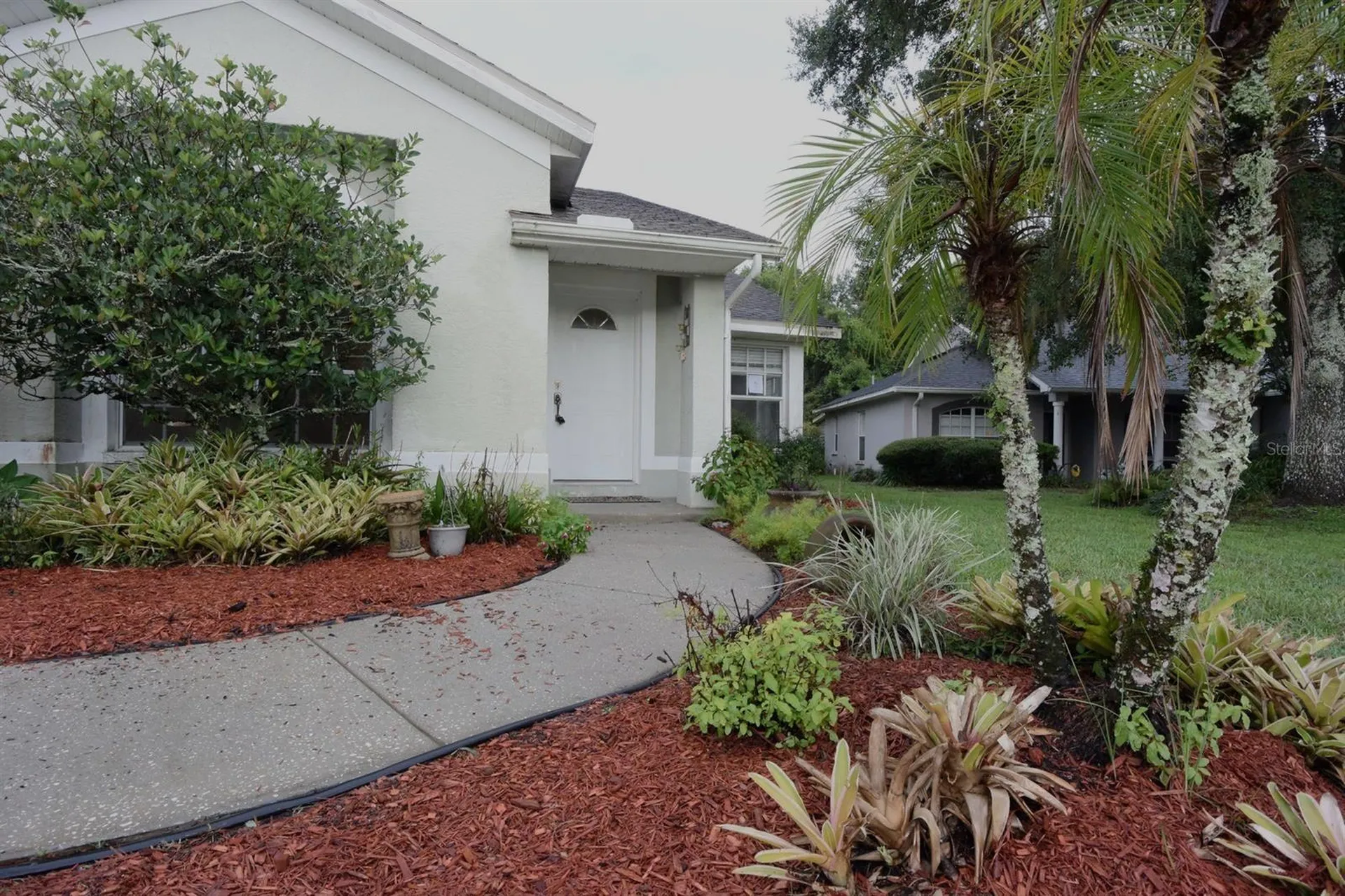 24449 Painter Drive Land O Lakes FL 34639