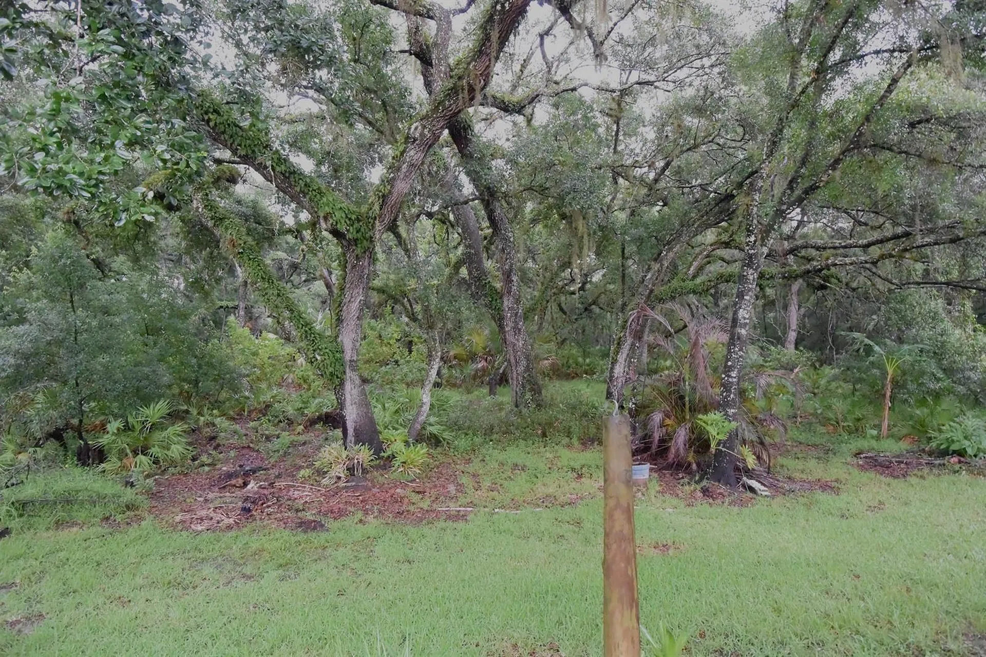 24449 Painter Drive Land O Lakes FL 34639