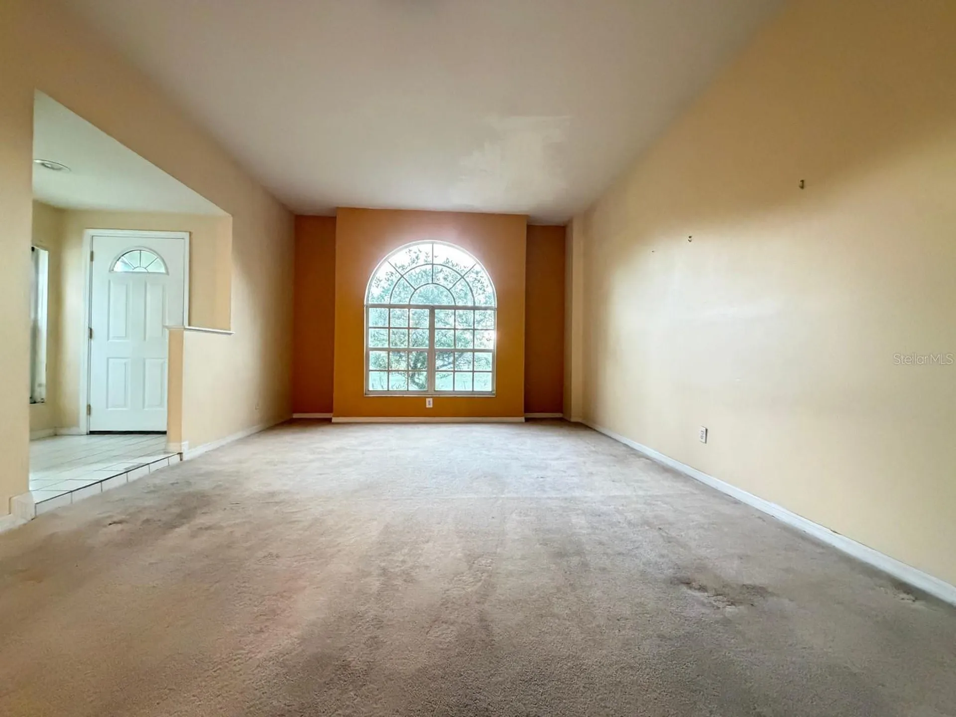 24449 Painter Drive Land O Lakes FL 34639