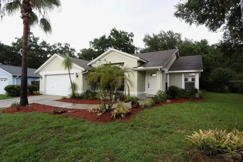 24449 Painter Drive Land O Lakes FL 34639