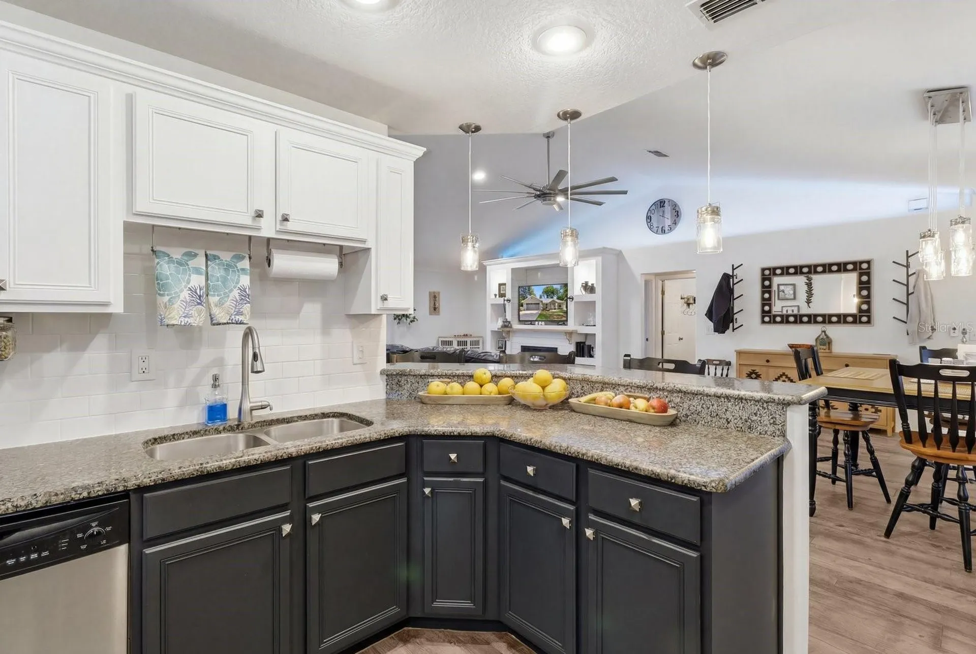 8667 N Upland Drive Citrus Springs FL 34434