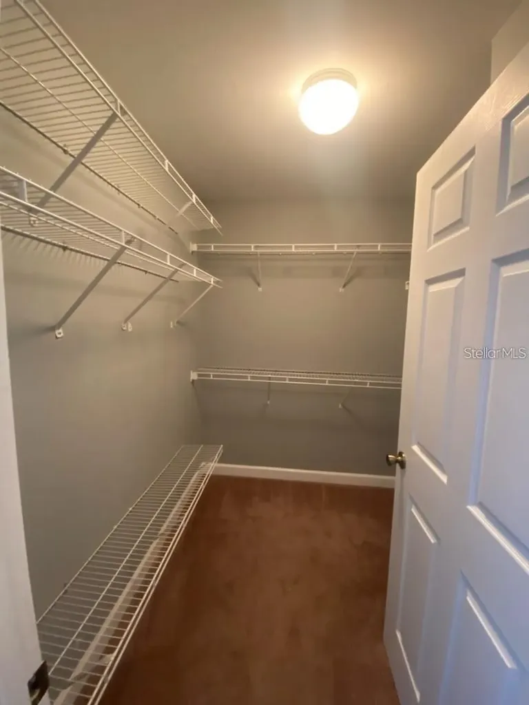 18489 Bridle Club Drive Tampa FL 33647