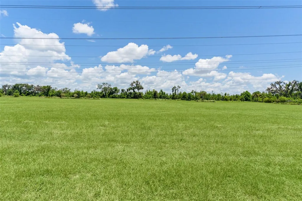 2231 Landrea Loop The Villages FL 32163