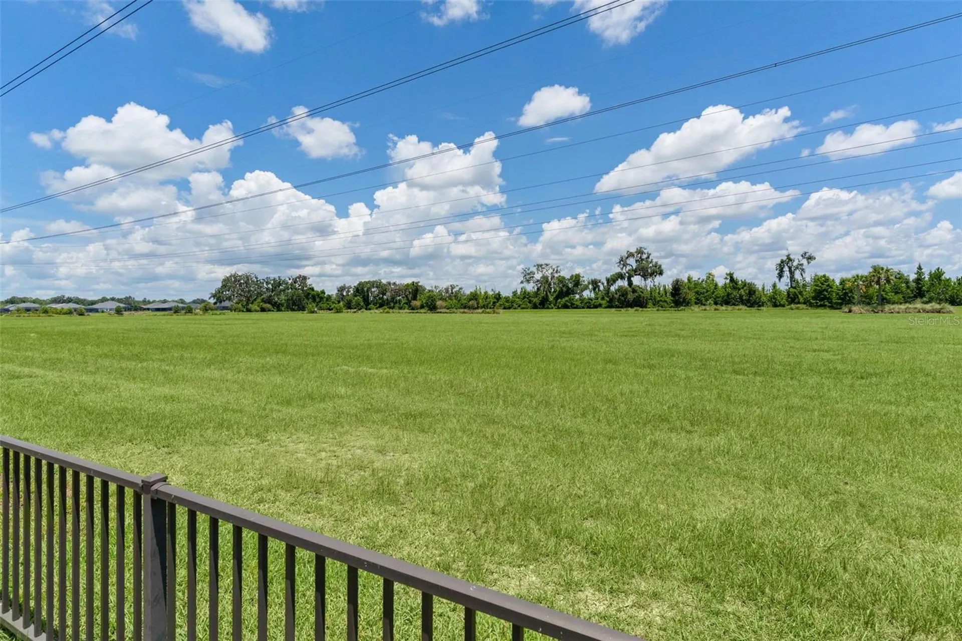2231 Landrea Loop The Villages FL 32163