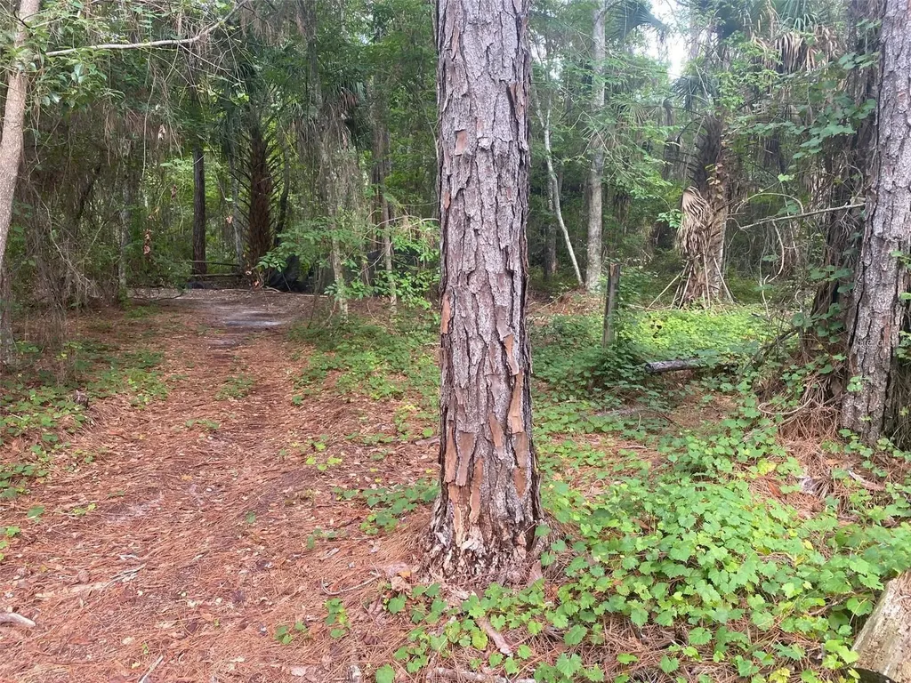 709 Georgetown Denver Road Crescent City FL 32112