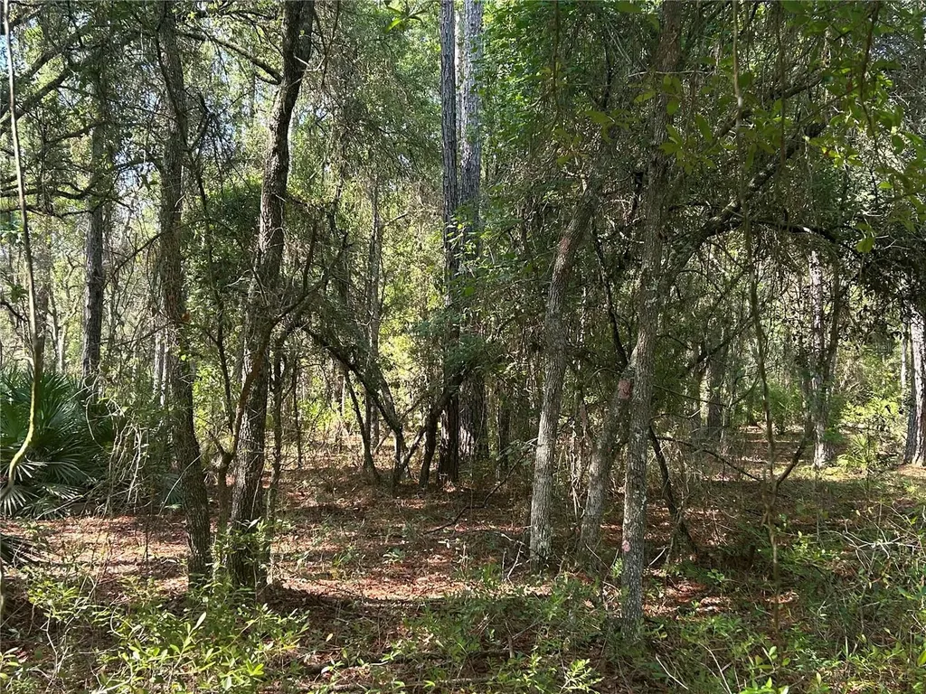 709 Georgetown Denver Road Crescent City FL 32112