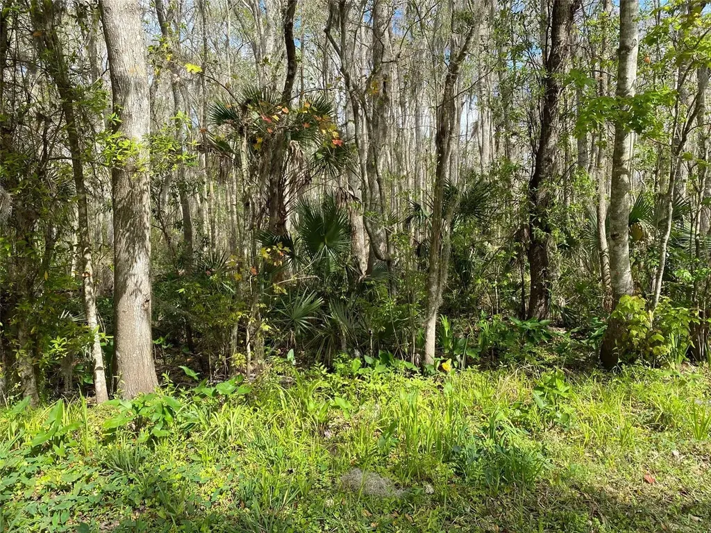 709 Georgetown Denver Road Crescent City FL 32112