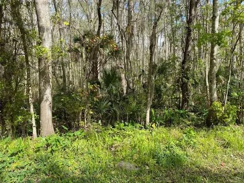 709 Georgetown Denver Road Crescent City FL 32112