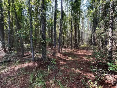 709 Georgetown Denver Road Crescent City FL 32112
