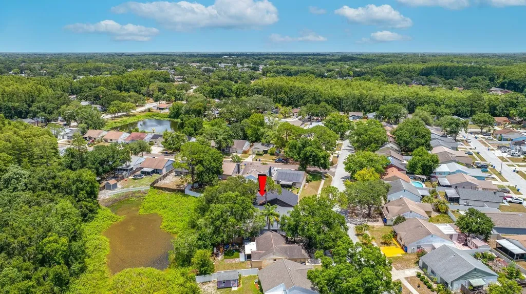 12360 Witheridge Drive Tampa FL 33624