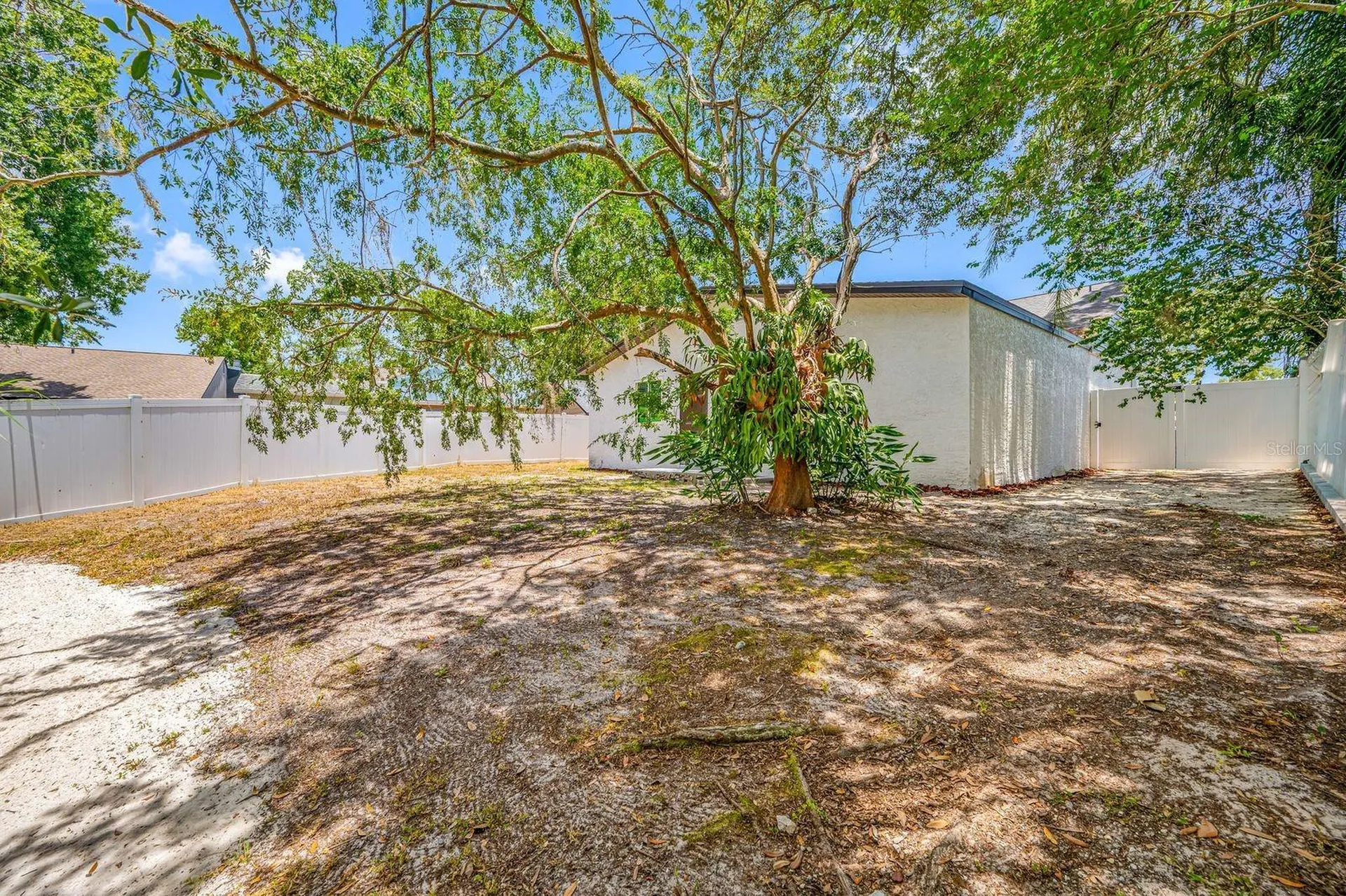 12360 Witheridge Drive Tampa FL 33624