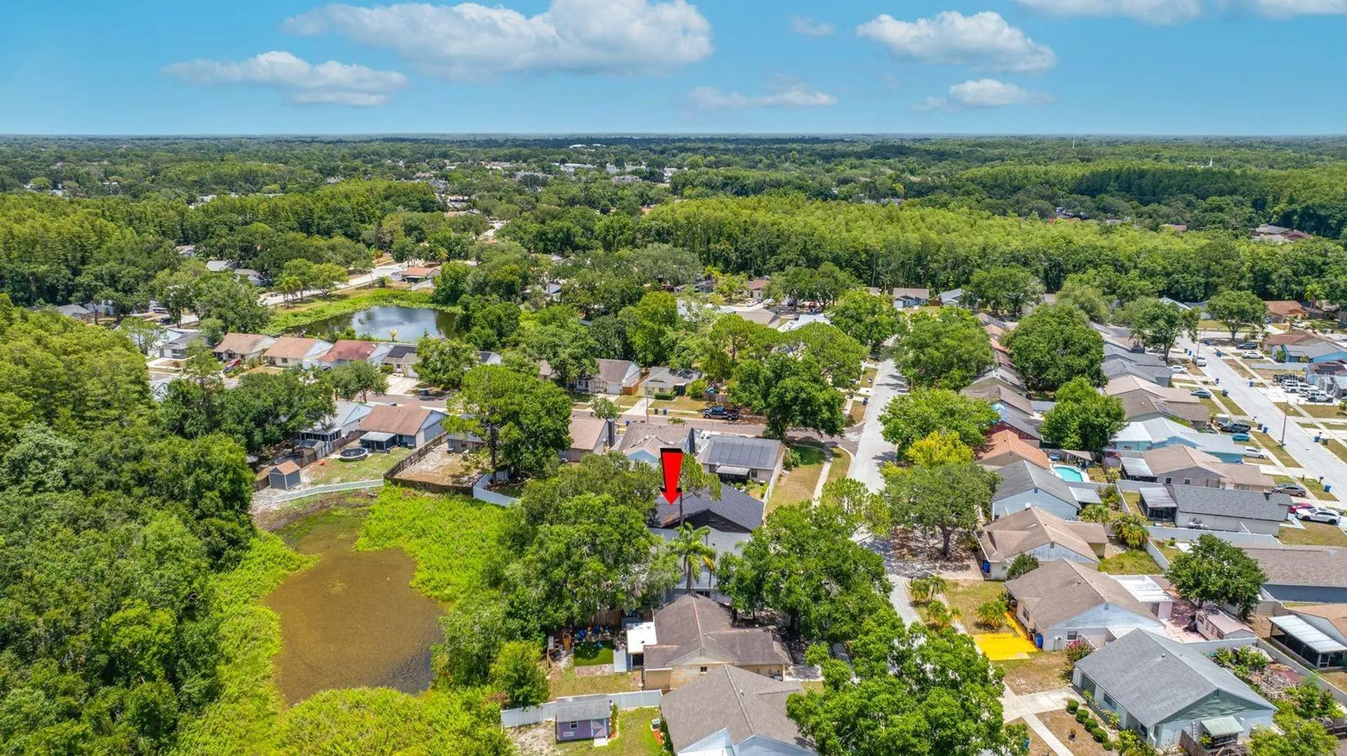 12360 Witheridge Drive Tampa FL 33624