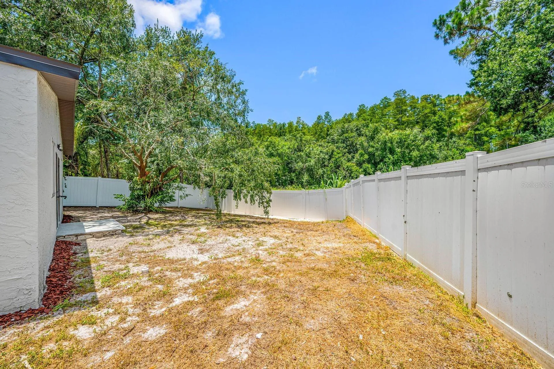 12360 Witheridge Drive Tampa FL 33624