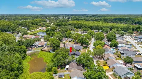 12360 Witheridge Drive Tampa FL 33624