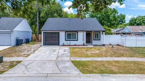 12360 Witheridge Drive Tampa FL 33624